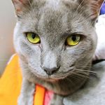 Margaret Roll - @margaret.roll.146 - Instagram