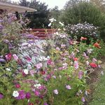 Margaret Roll - @margaretroll7 - Instagram