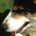 Margaret Rothenberg - Facebook