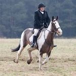 Margaret Ruffell - @margaret.ruffell - Instagram