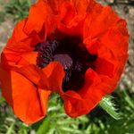 Margaret Ruffino - @margaretruffino - Instagram