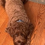 Margaret Ruffner - @margaret.ruffner - Instagram