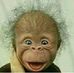 Margaret Sample - Facebook