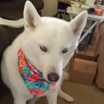 Margaret Samples - @margaretsamples7 - Instagram