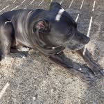 Margaret Samuelson - @samuelson766 - Instagram