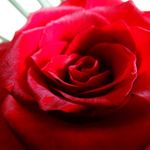 Margaret Sanger - @sanger.margaret - Instagram