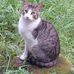 Margarett Solar - Facebook