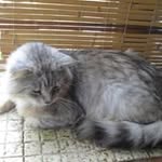 Margaret Mary - @margaret.setter - Instagram