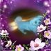 Margaret Shell - Facebook
