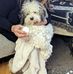 Margaret Shorter - Facebook