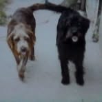 Margaret Sheard - Facebook