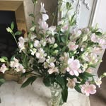 Margaret Simms - @margaretsimms26 - Instagram