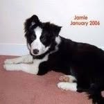 Margaret Simms Forsyth - @margaret.s.forsyth - Instagram