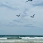 Sara Margaret Simms Humphrey - @smshumphrey - Instagram