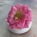Margaret SImon - Facebook