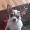 florencemargaret - @florencemargaretsmart - TikTok