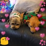 Margaret Smart - @margaret.smart.96558 - Instagram
