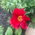 Margaret Sneed - @margaret2sneed - Instagram