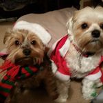 Margaret Solinger - @margesolinger - Instagram