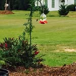Margaret Peggi Jackson Sorrell - @margaretjacksonsorrell - Instagram