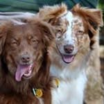 Margaret Sorrells - @margaret.sorrells - Instagram