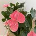 Margaret Sparks - Facebook