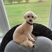 Margaret Spaulding - Facebook