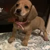 Margaret Stack - @margaret.stack4 - TikTok