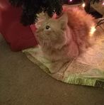 Margaret Staten - Facebook