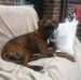 Margaret Staton - Facebook