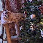 Margaret Stephen - @margaret.stephen.102 - Instagram