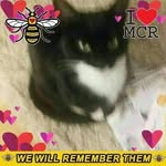Margaret stephen - @margaretstephen2741 - Instagram