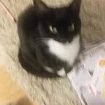 Margaret Stephen - @stephensmargaret1944 - Instagram
