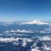 Margaret Stock - @margaret.stock - TikTok