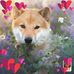 Margaret Stogner - Facebook