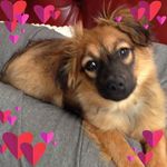 Margaret Stringer - @margaret.stringer.106 - Instagram