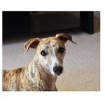 Margaret Stringer - @maggiestringer3 - Instagram