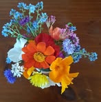 Margaret Stringer - Facebook