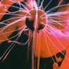 margarettstuck40215 - @margarettstuck40215 - TikTok