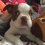Margaret Summers - @lgmsummers - Instagram