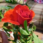 Margaret Sumrall Neumann - @maneumann44 - Instagram