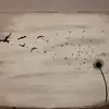 margaret.surber - @margaret.surber - TikTok