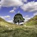 Margaret Swallow - Facebook