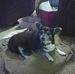 Margaret Terwilliger - Facebook