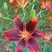 Margaret Terwilliger - Facebook
