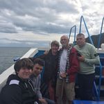 Margaret Toal - @maggiereet - Instagram