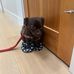 Margaret Tutt - Facebook