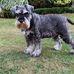 Margaret Tutt - Facebook