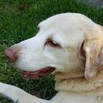 Margaret Van Burkleo Tutt - @tuttmargaret - Instagram