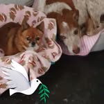 Margaret Butterfield - @margaret.butterfield.733 - Instagram